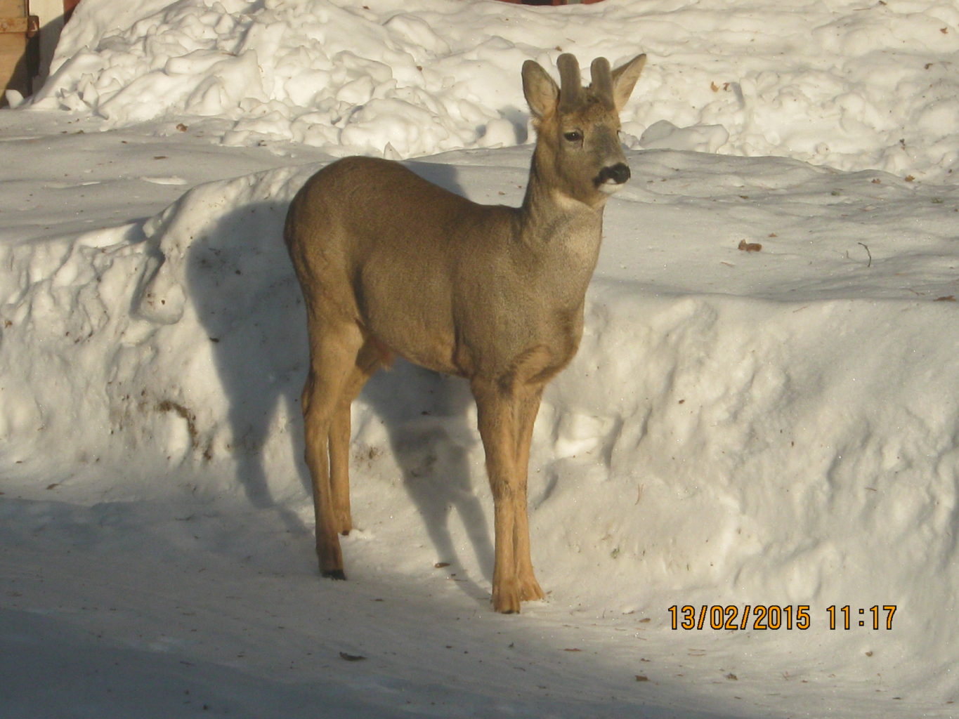 Valokuvaaja: Kirsti Tiirikainen Valokuvaaja: Kirsti Tiirikainen
