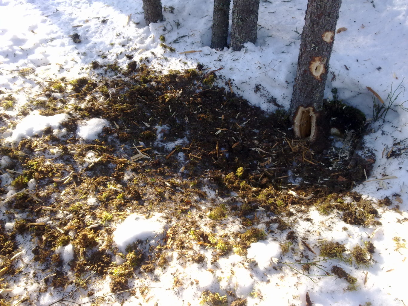 Valokuvaaja: Sirpa Vellonen