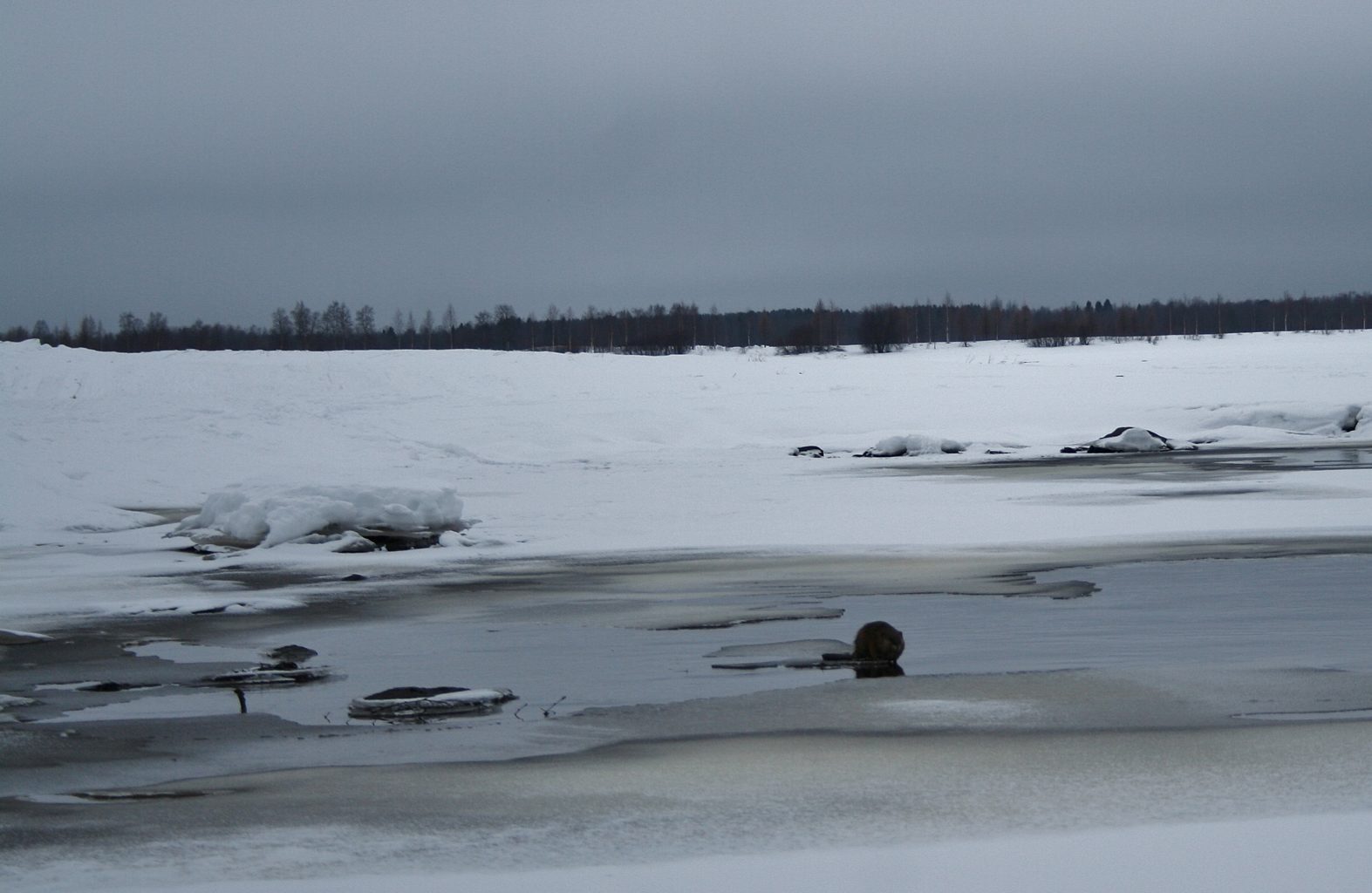Valokuvaaja: Pirkko Siukonen