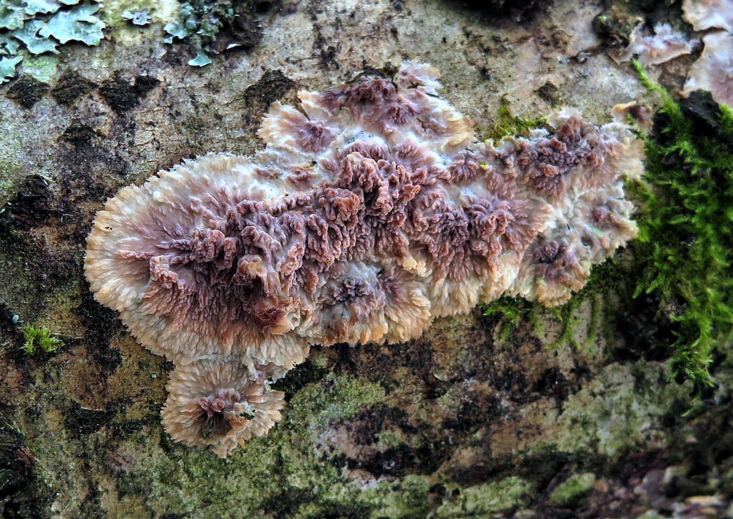 Valokuvaaja: Kari Aaltonen Valokuvaaja: Kari Aaltonen