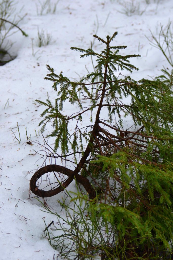 Valokuvaaja: Noora Andersson Valokuvaaja: Noora Andersson