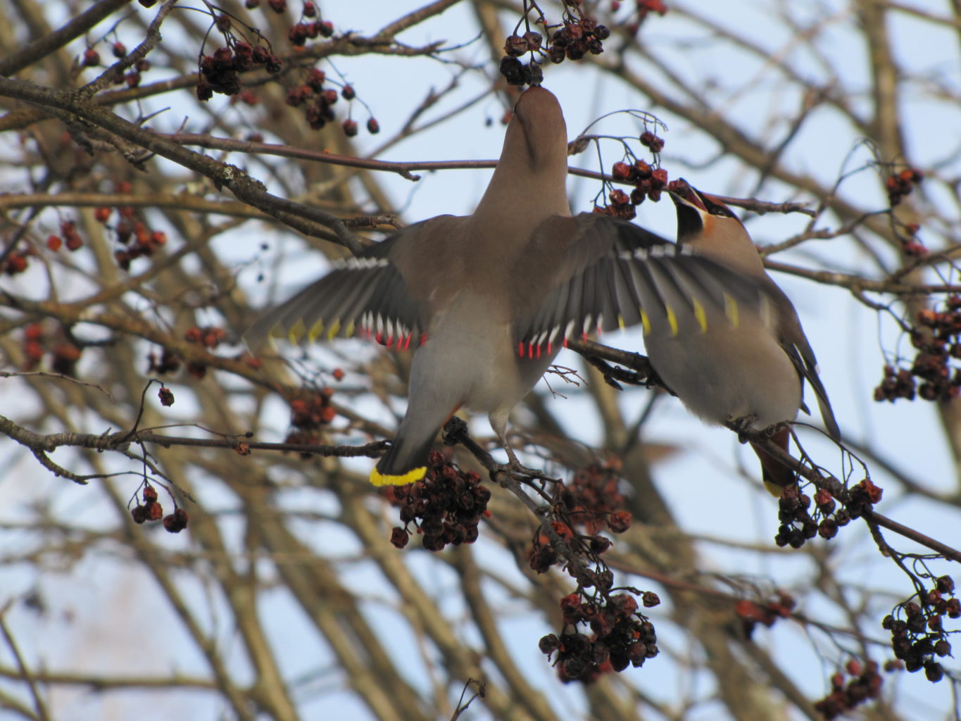 Valokuvaaja: Vesa Koponen