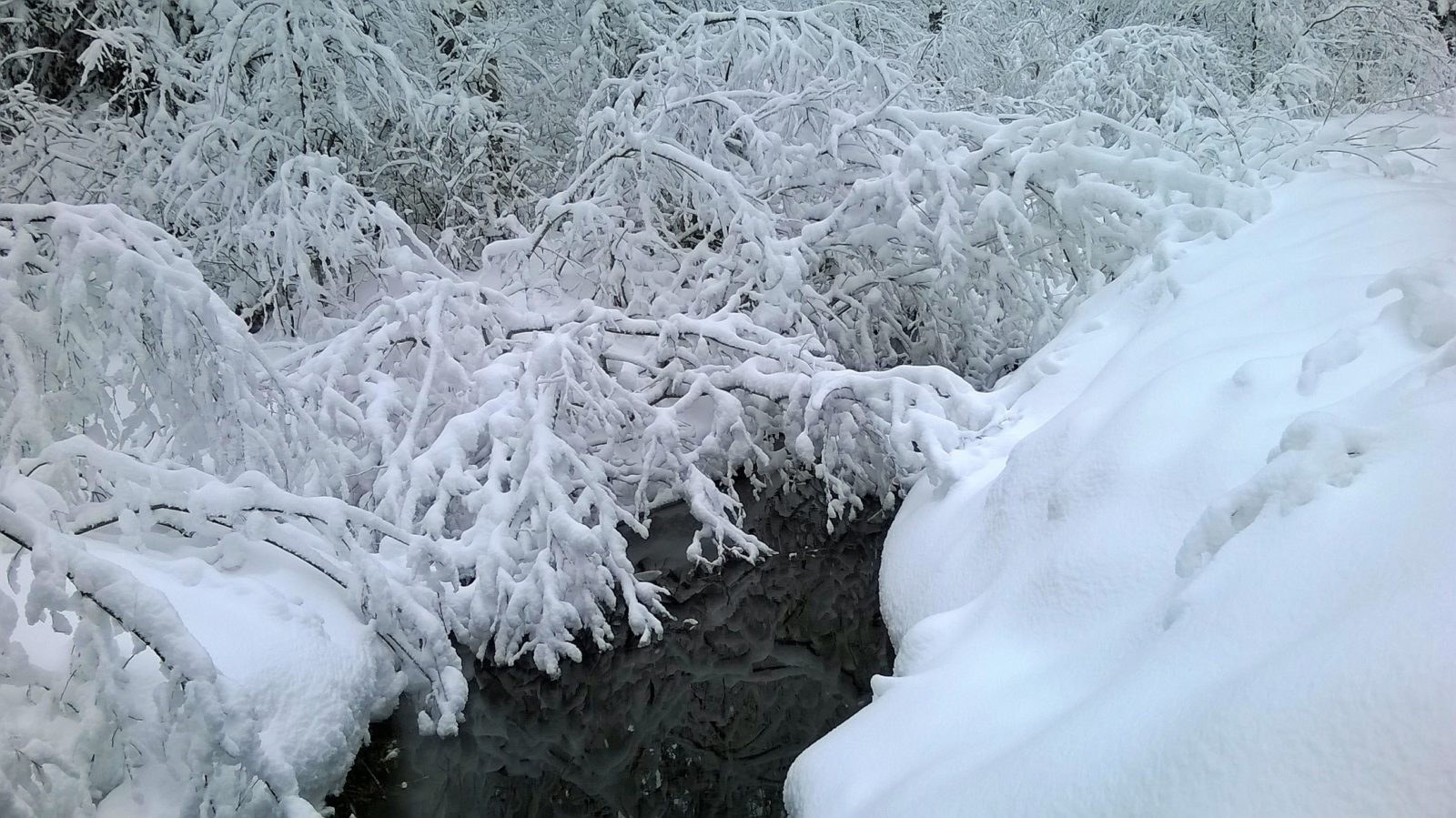 Valokuvaaja: Marja-Liisa Paavola