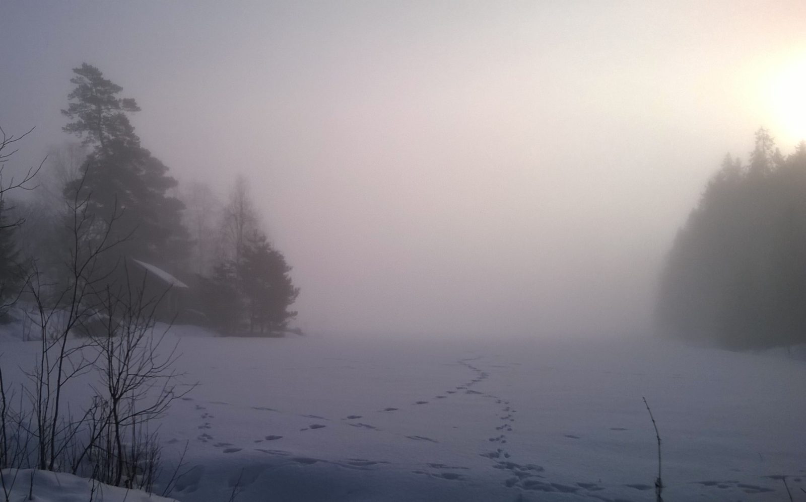 Valokuvaaja: Marja-Liisa Paavola