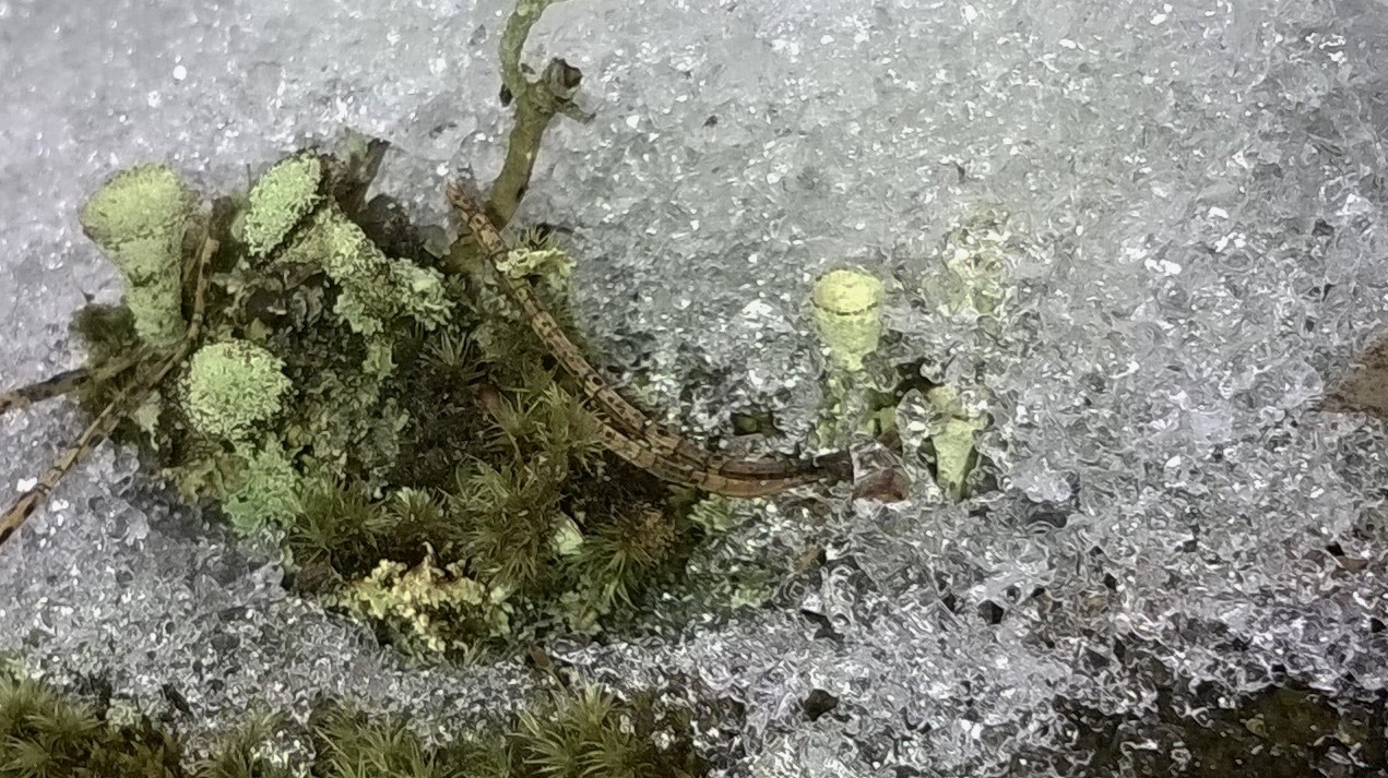 Valokuvaaja: Marja-Liisa Paavola