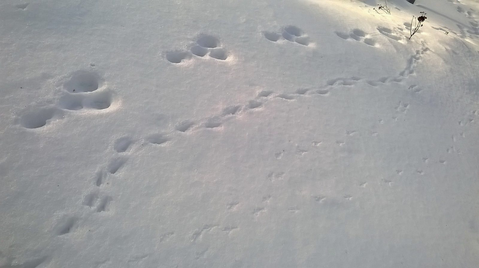 Valokuvaaja: Maarit Siitonen