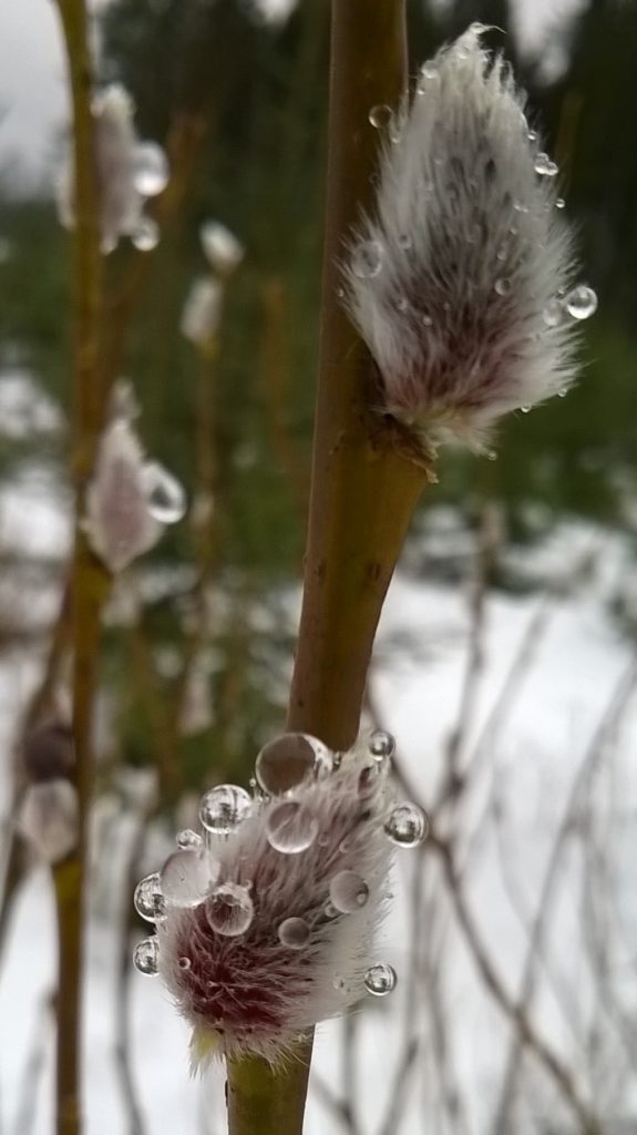 Valokuvaaja: Marja-Liisa Paavola