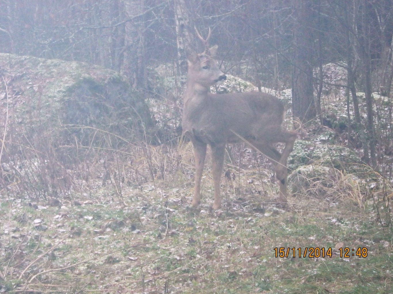 Valokuvaaja: Kirsti Tiirikainen