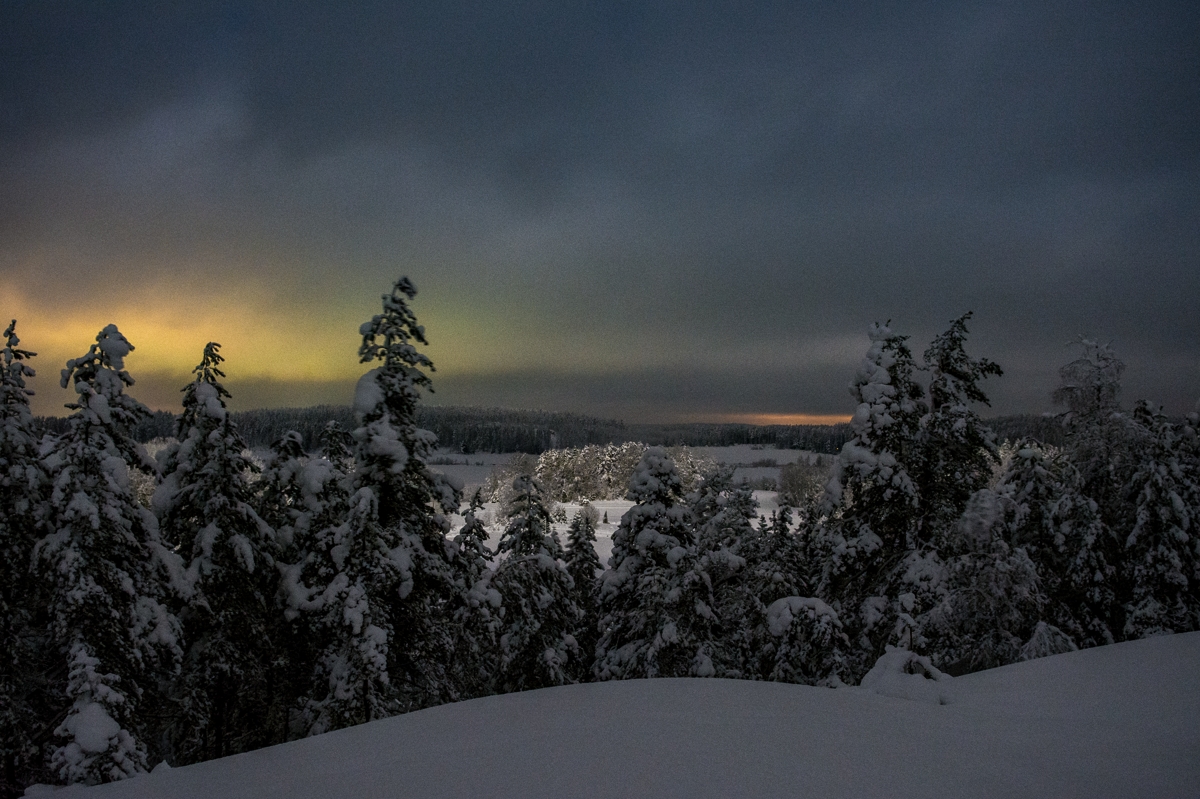 Valokuvaaja: Ari Kaarakainen