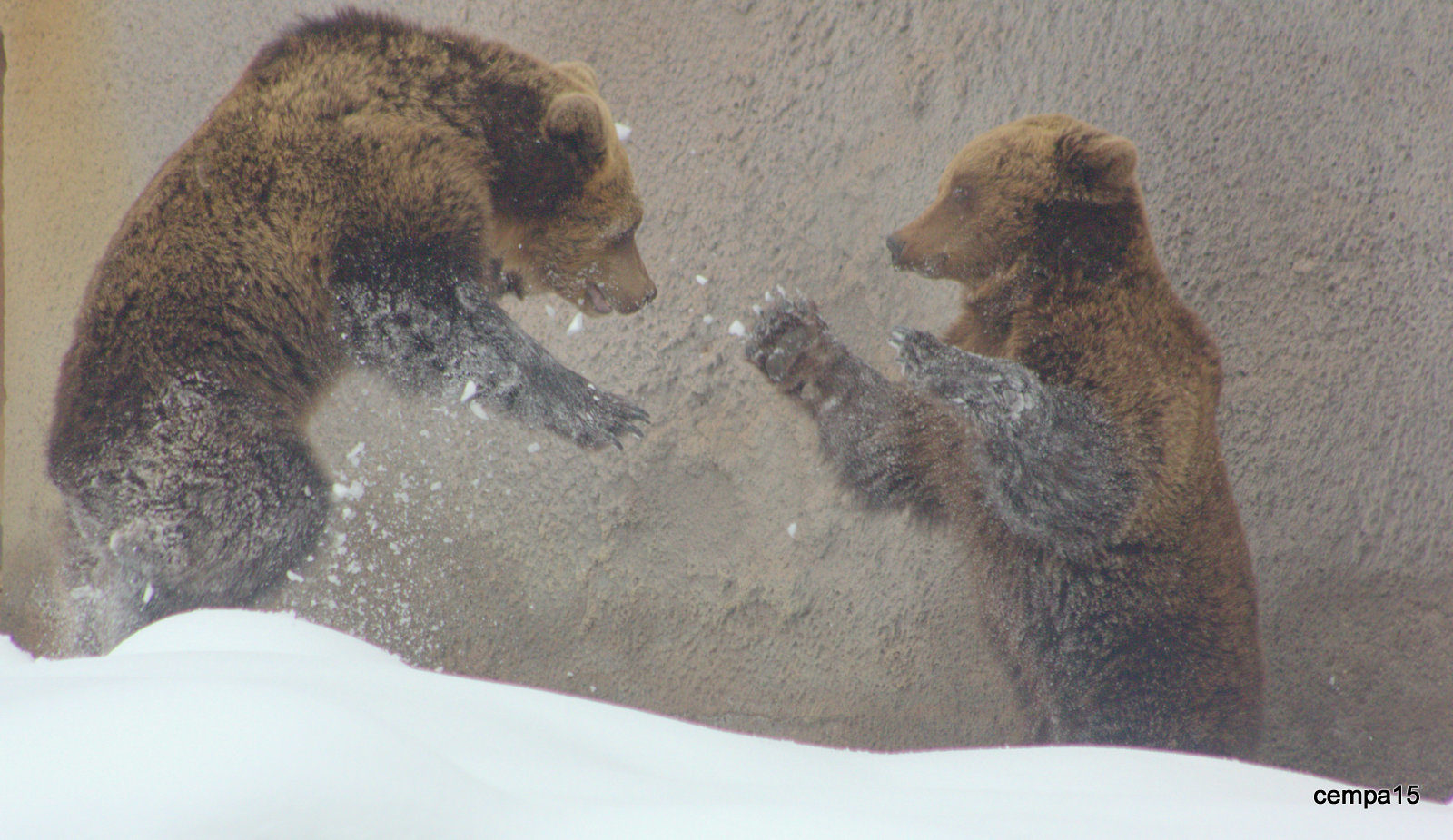 Valokuvaaja: tapio keinonen