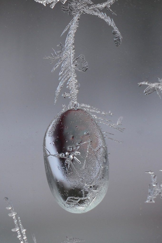 Valokuvaaja: Seija  Annala