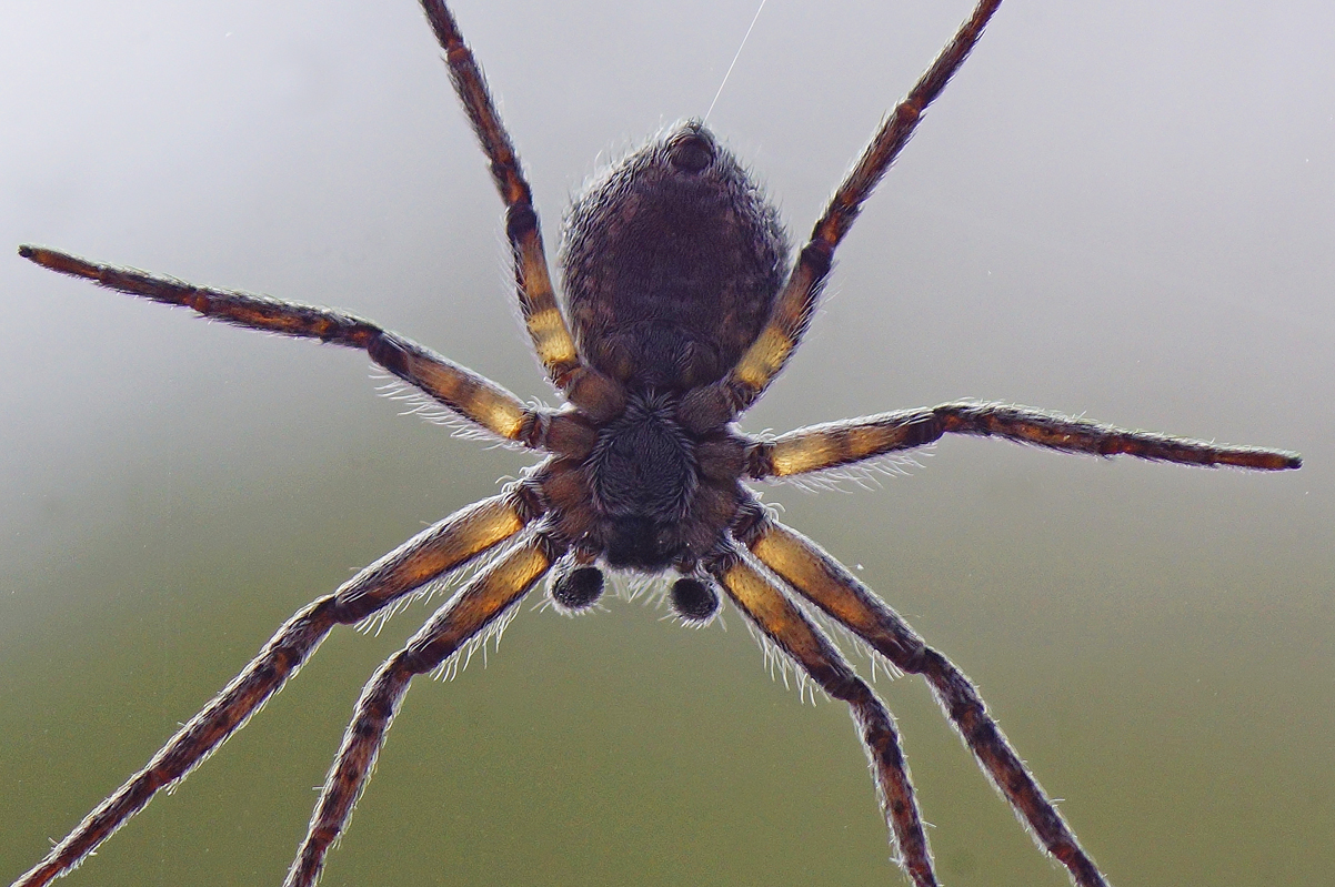 Valokuvaaja: Juhani Harkas