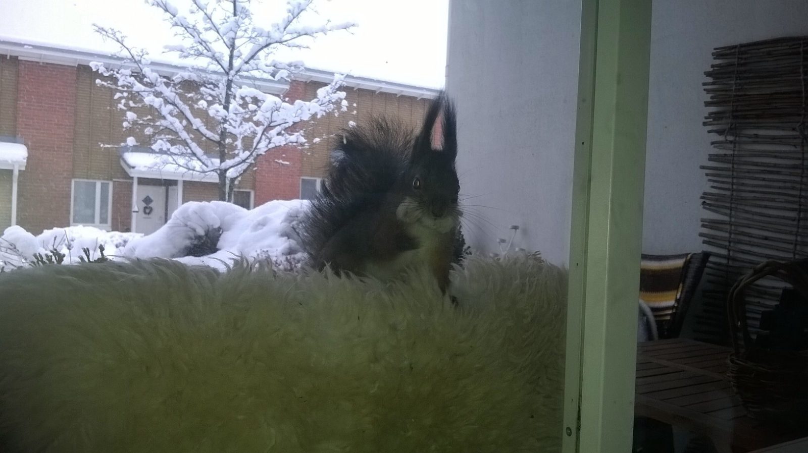 Valokuvaaja: Jonna Rihula