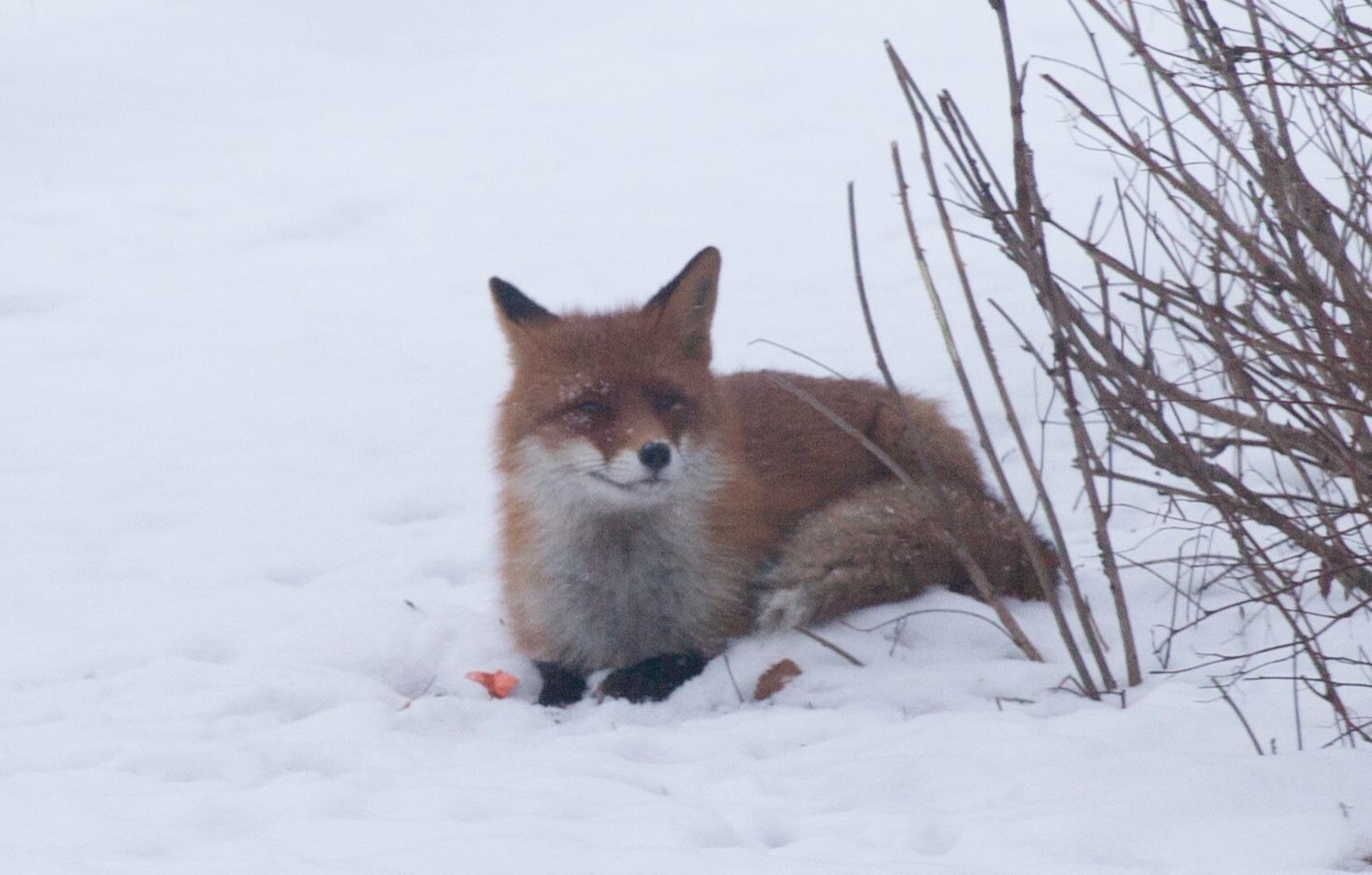 Valokuvaaja: Esa Hämäläinen
