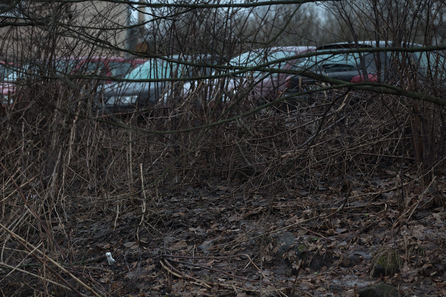 Valokuvaaja: Lauri Asanti