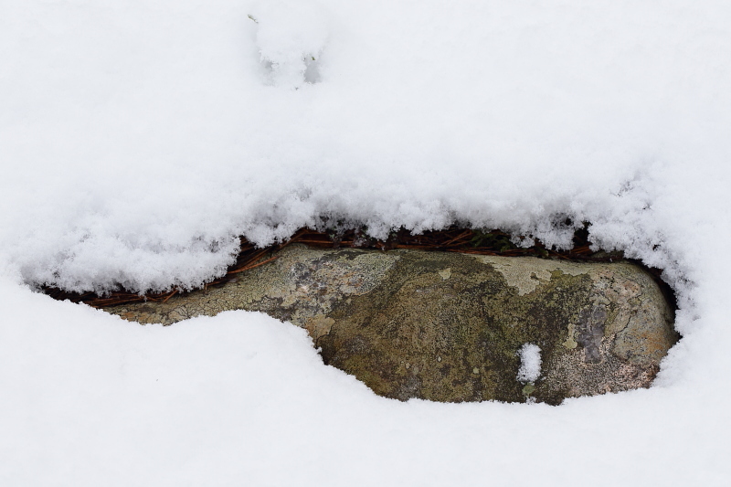 Valokuvaaja: Hanna Järvinen