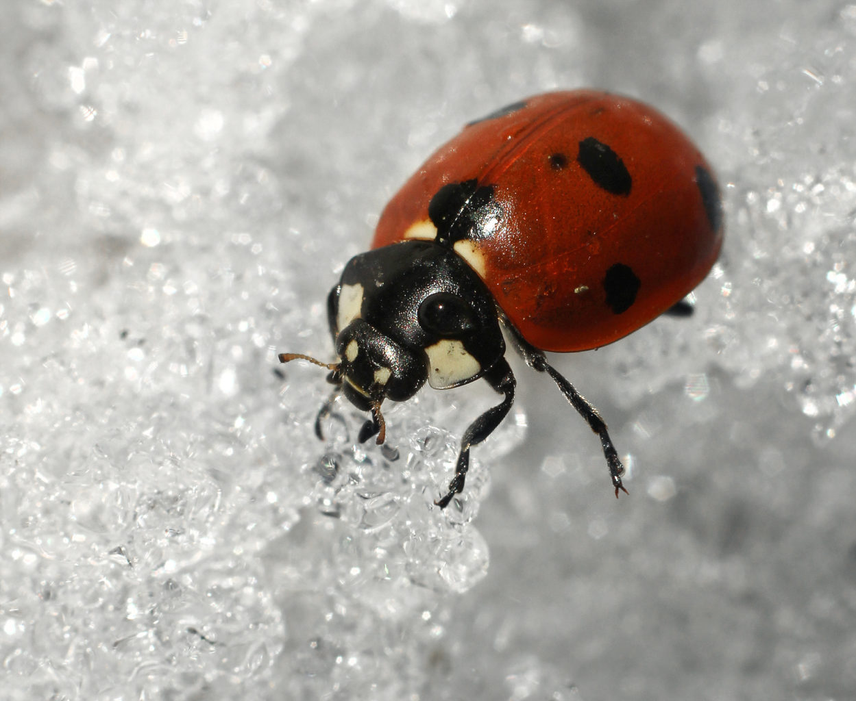 Valokuvaaja: Tarja Porkkala
