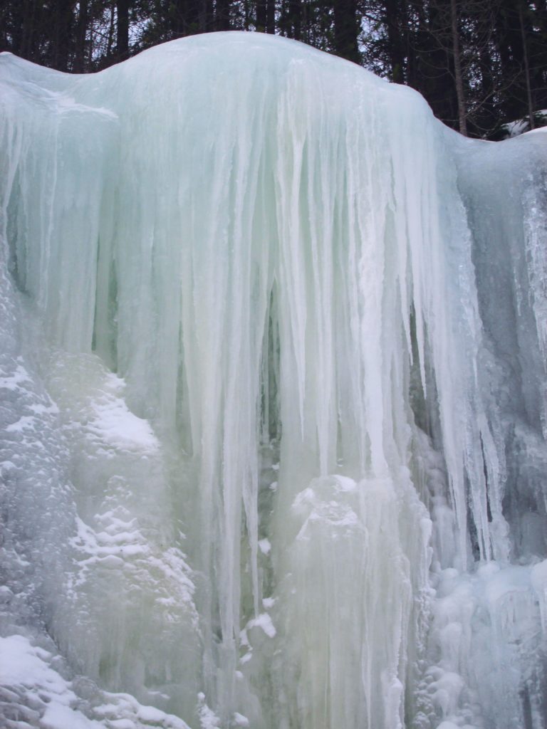 Valokuvaaja: Kaisa Sepponen Valokuvaaja: Kaisa Sepponen