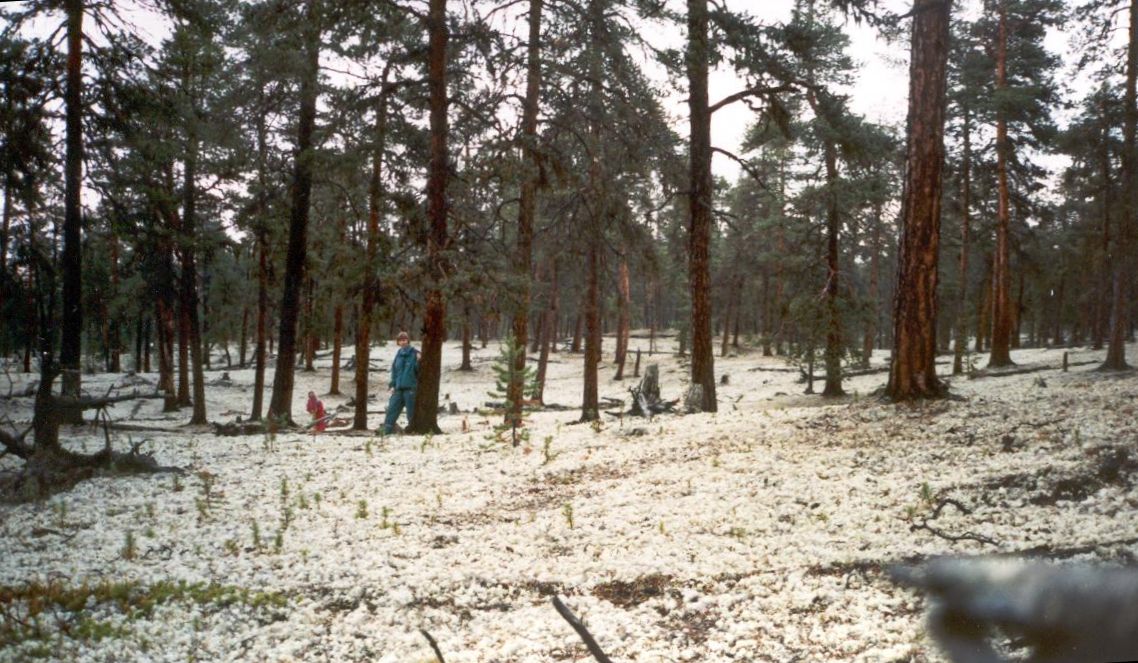 Valokuvaaja: Kaisa Sepponen Valokuvaaja: Kaisa Sepponen