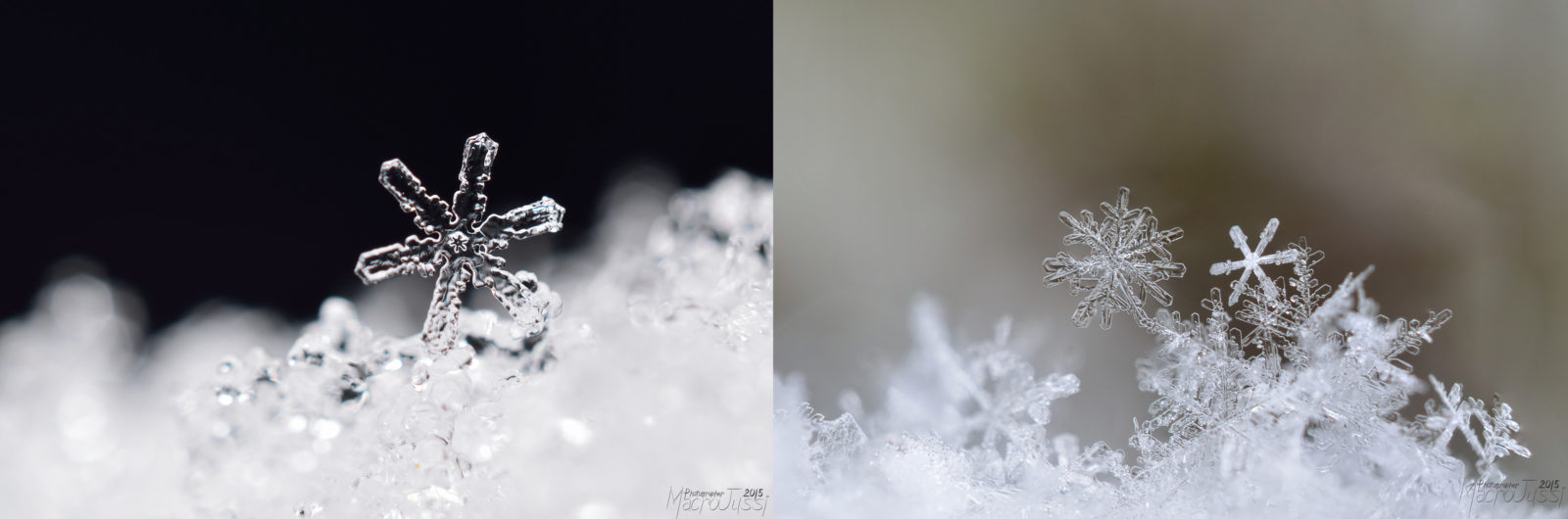 Valokuvaaja: Jussi Pietarinen