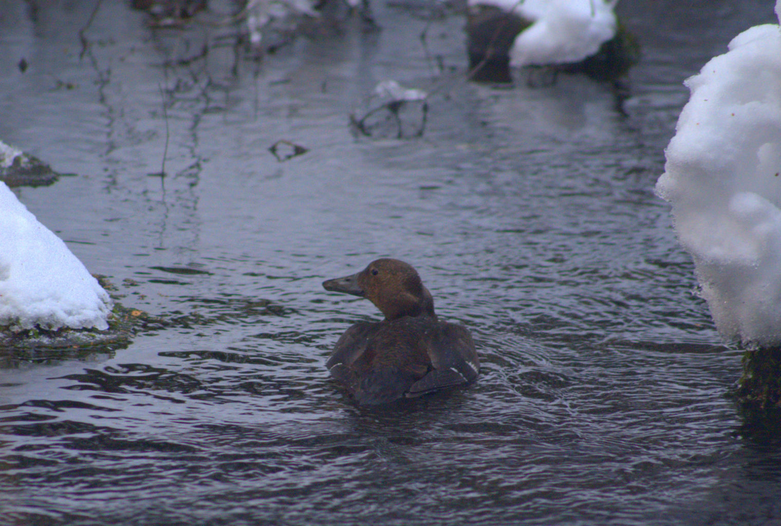 Valokuvaaja: Eija Varjola Valokuvaaja: Eija Varjola