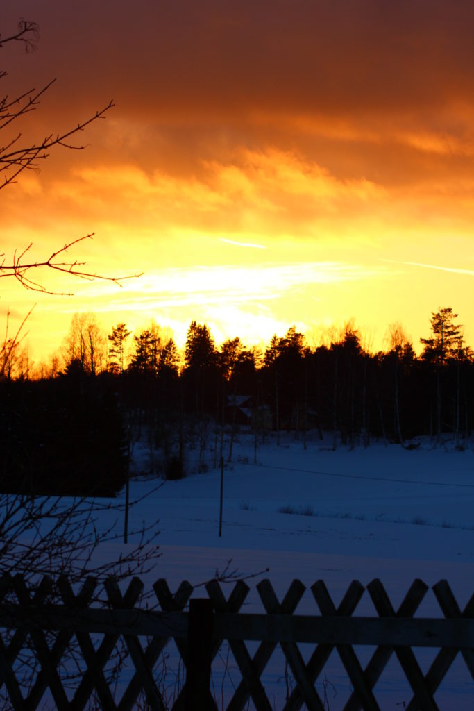 Valokuvaaja: Elias Pölkki 15v