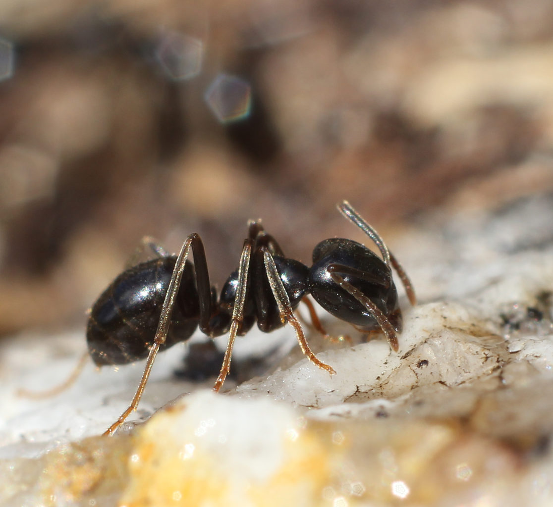 Valokuvaaja: Tarja Porkkala Valokuvaaja: Tarja Porkkala