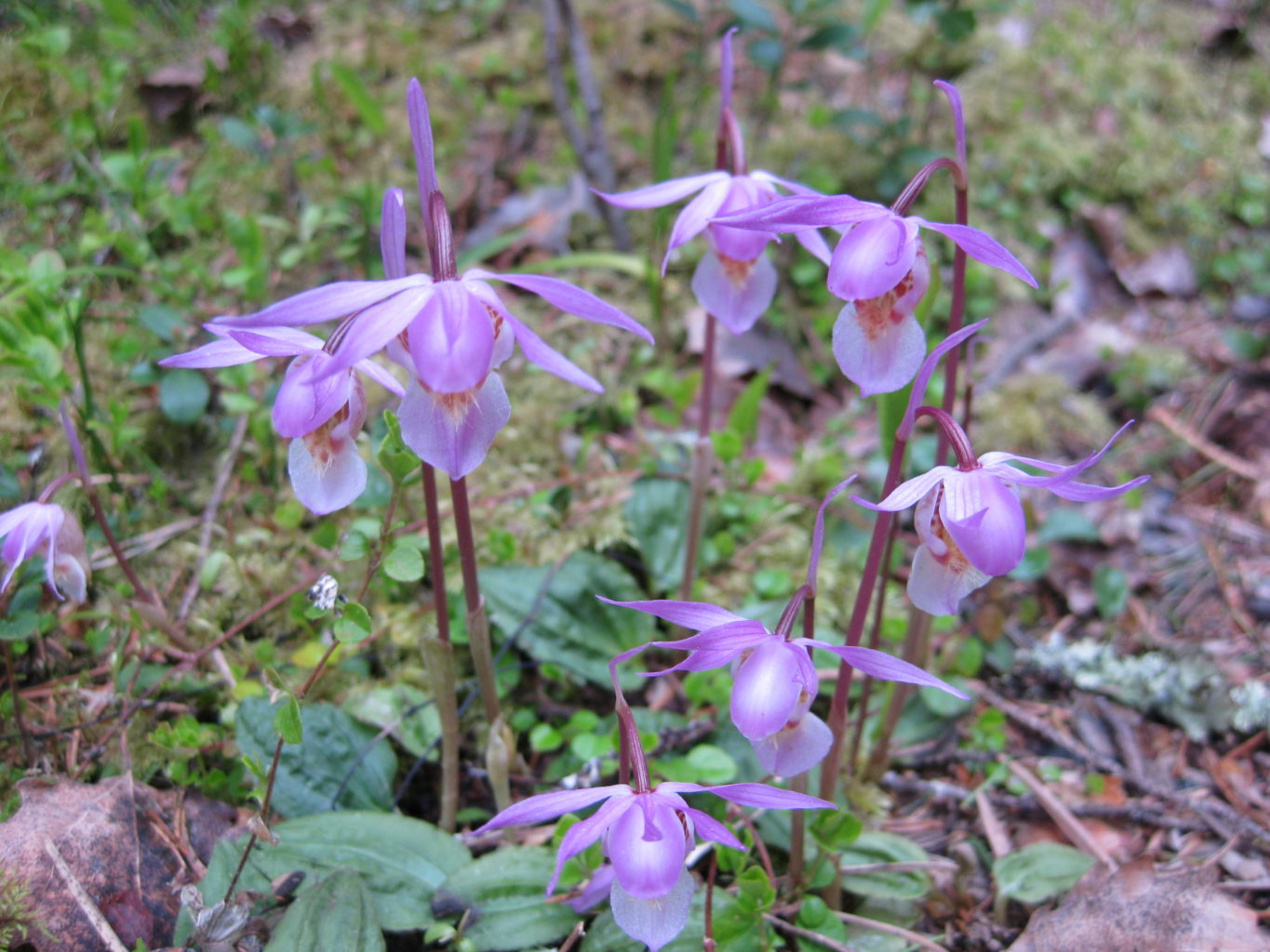 Valokuvaaja: yrjo lukkari