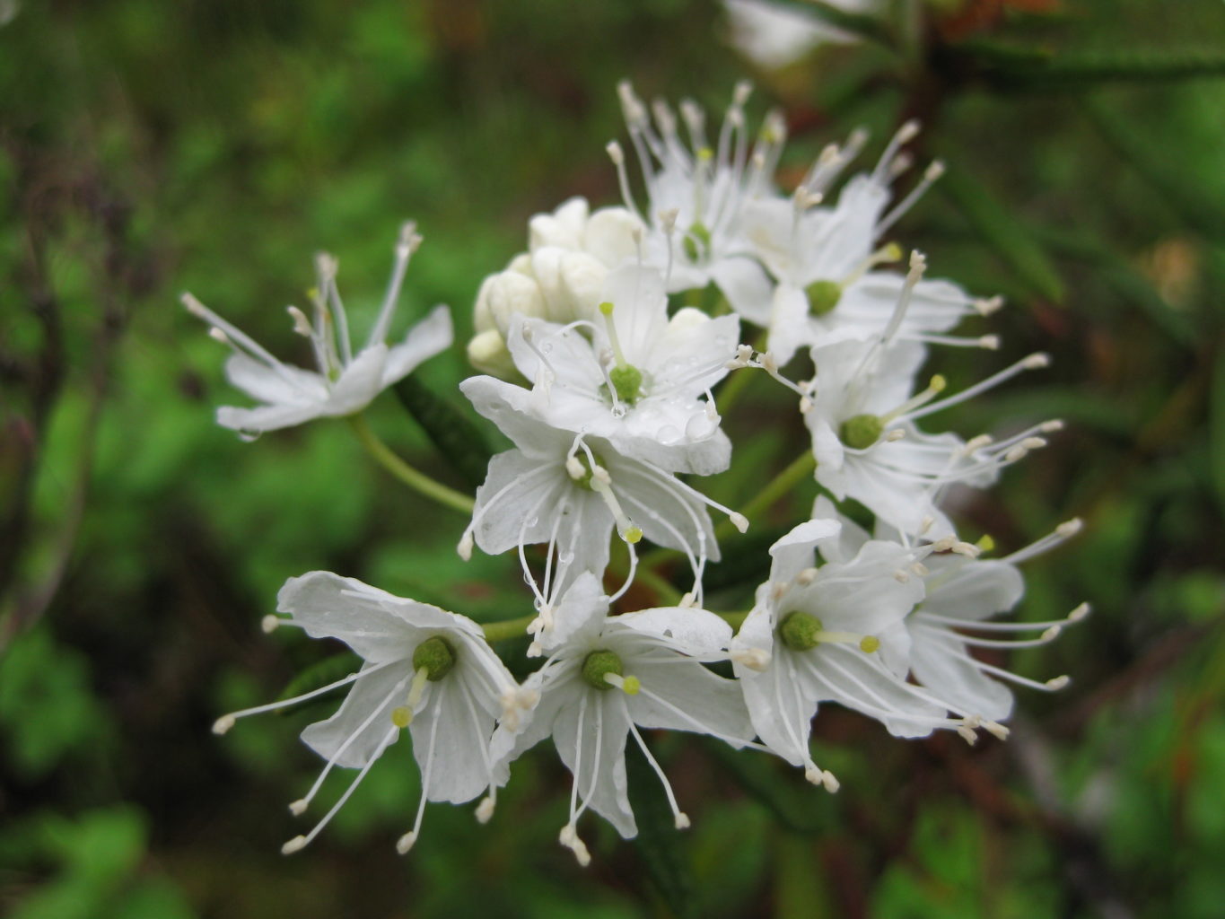 Valokuvaaja: yrjo lukkari