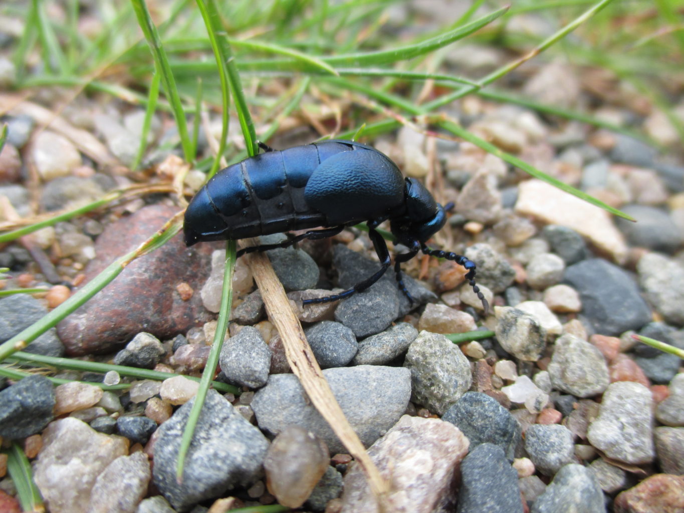 Valokuvaaja: yrjo lukkari