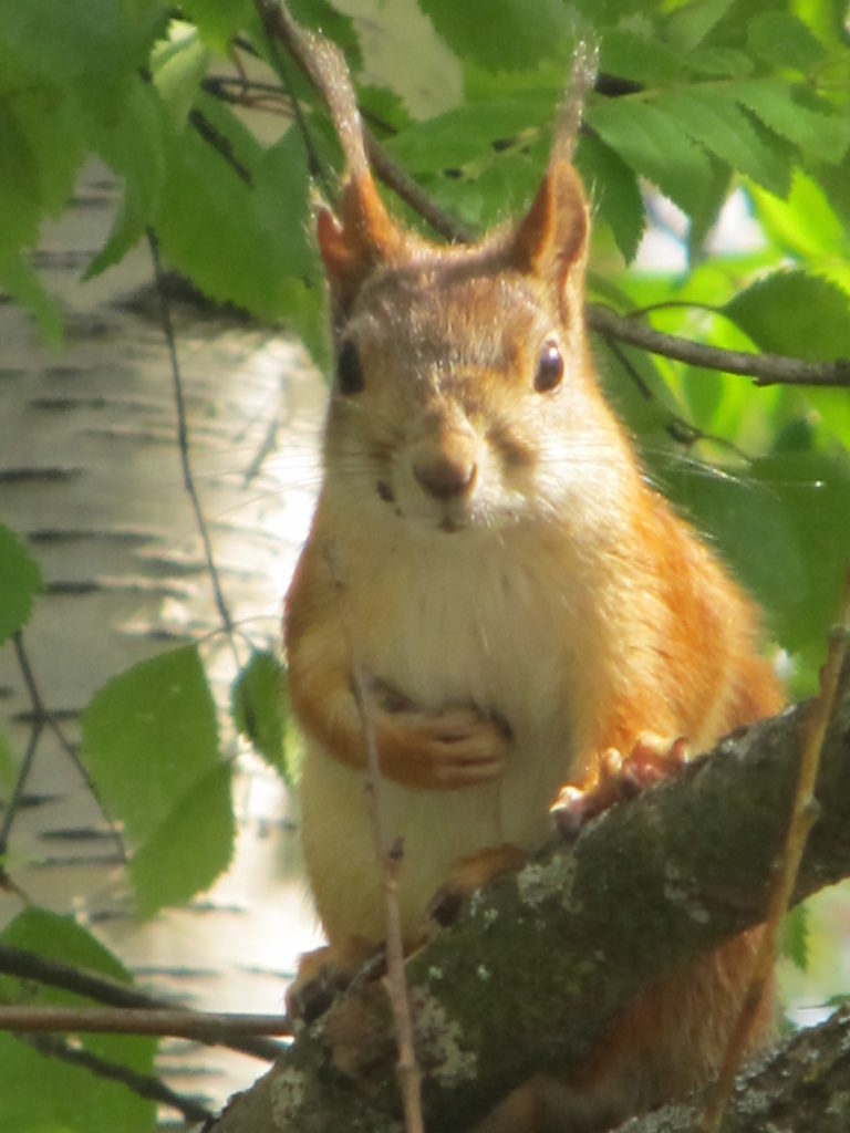 Valokuvaaja: Eija Hyvärinen