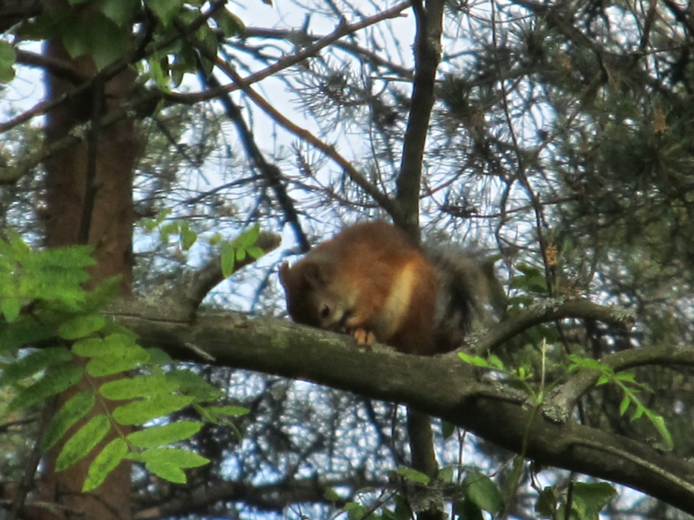 Valokuvaaja: Eija Hyvärinen