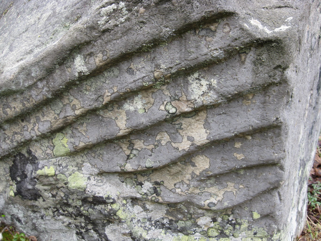 Valokuvaaja: yrjo lukkari