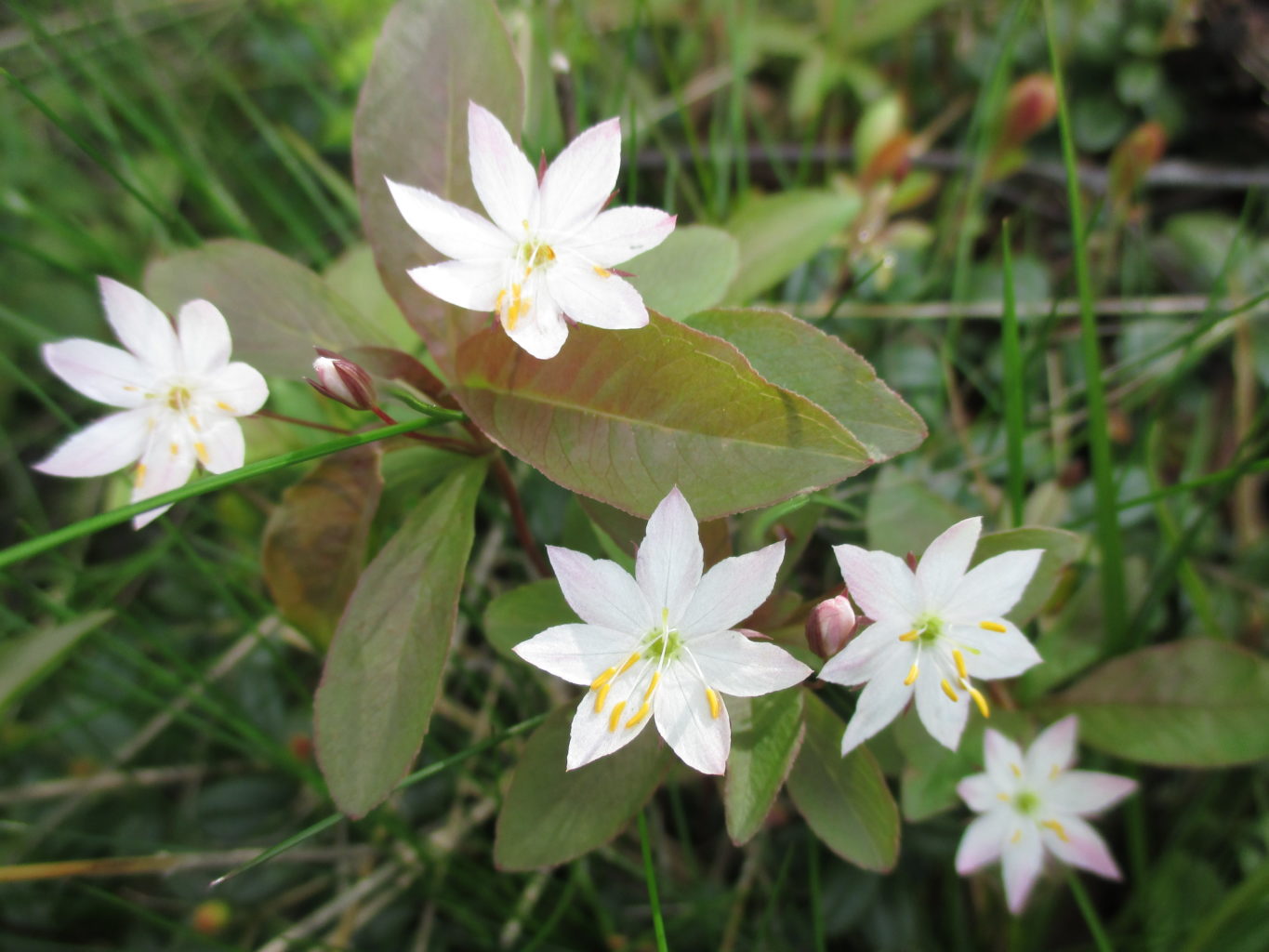 Valokuvaaja: yrjo lukkari
