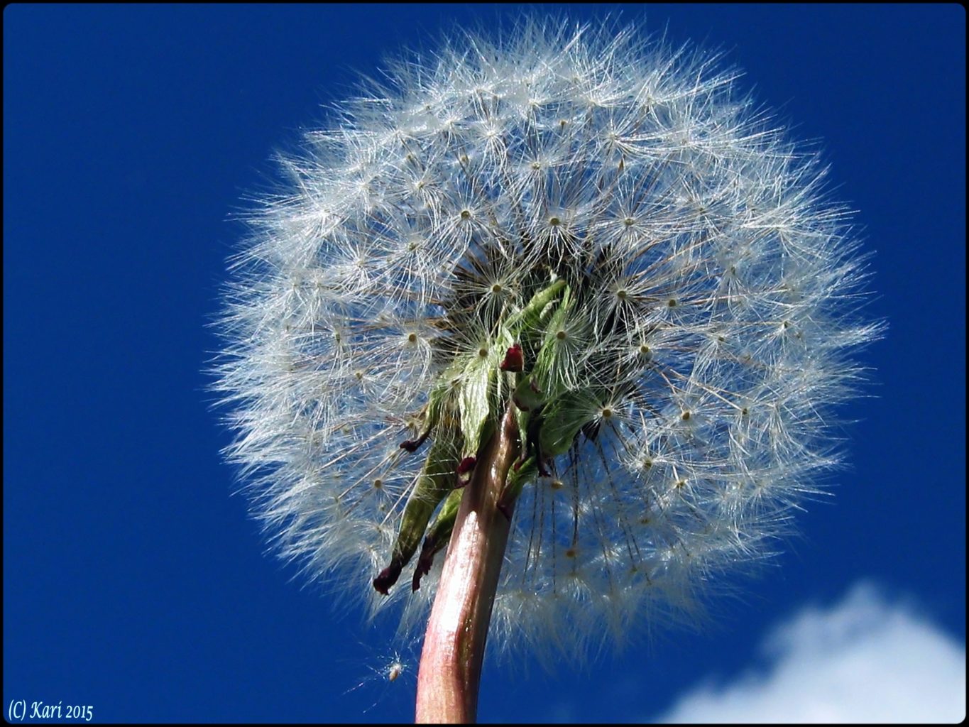 Valokuvaaja: Kari Saarinen