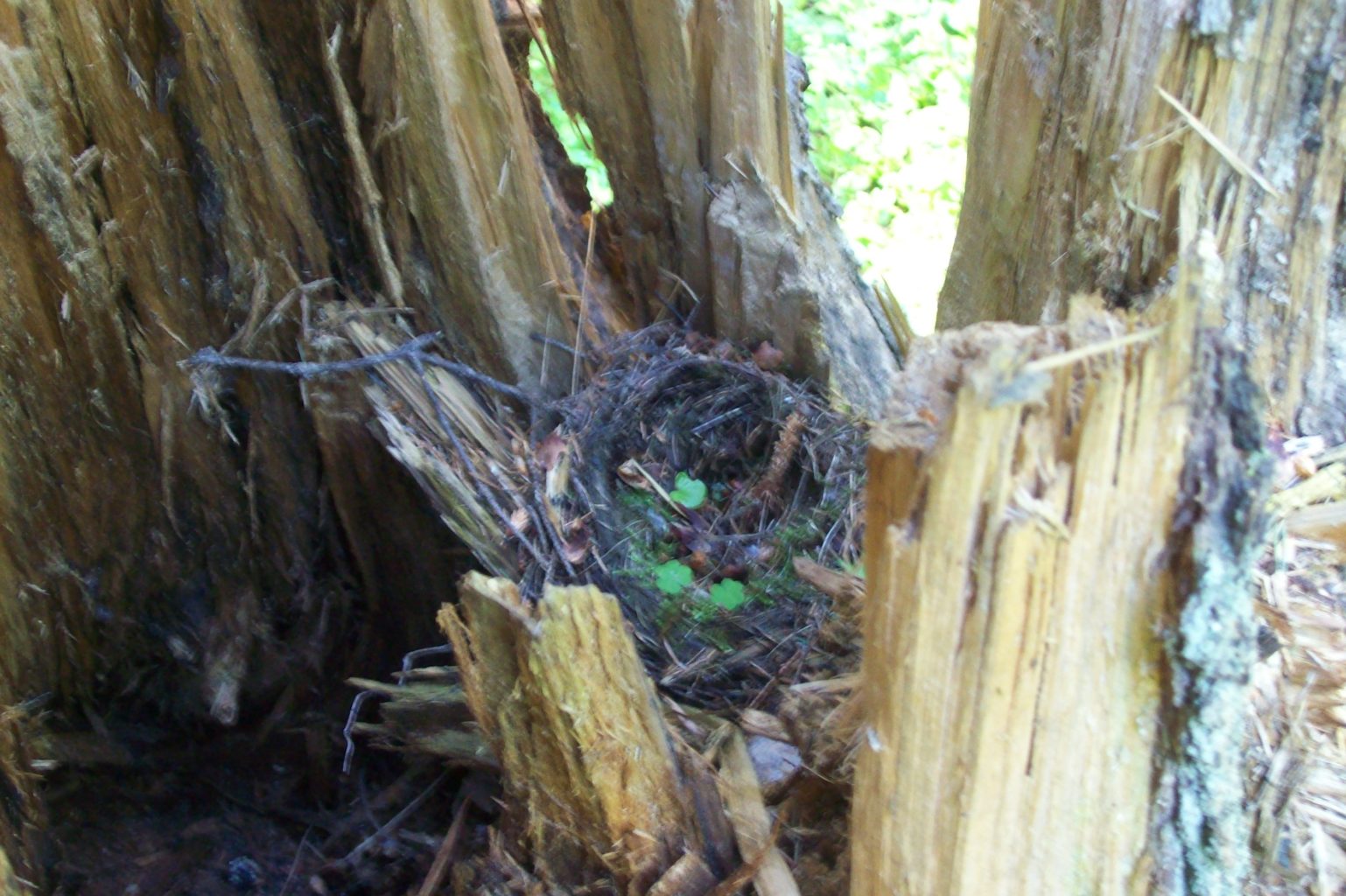 Valokuvaaja: Tanja Ruusukivi Valokuvaaja: Tanja Ruusukivi