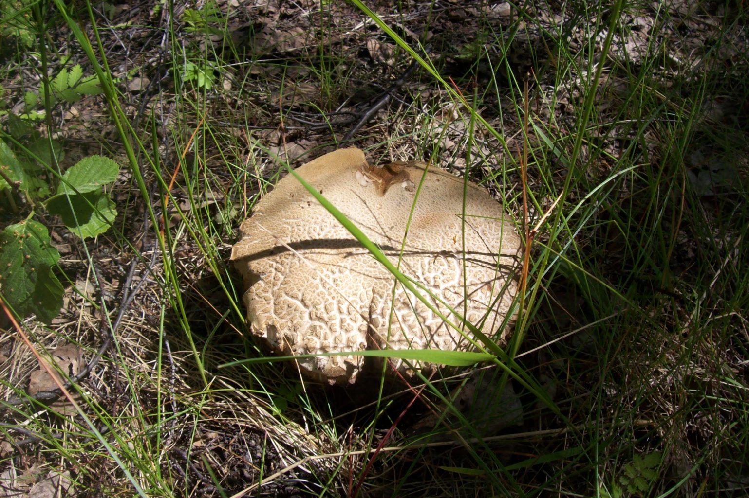 Valokuvaaja: Tanja Ruusukivi