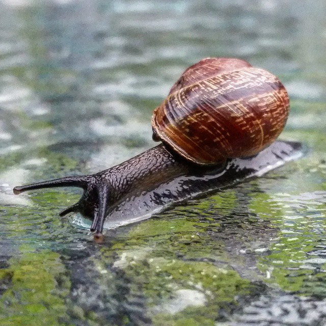 Valokuvaaja: Helen Savenius