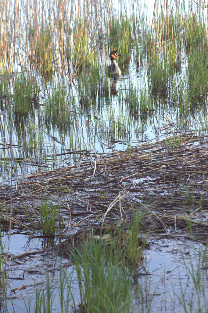 Valokuvaaja: tapio keinonen