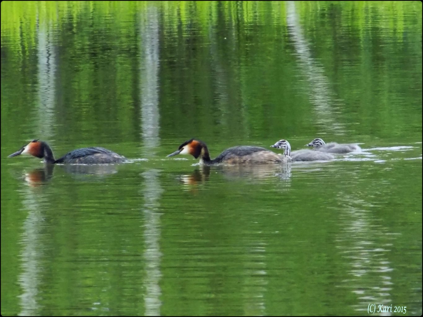 Valokuvaaja: Kari Saarinen