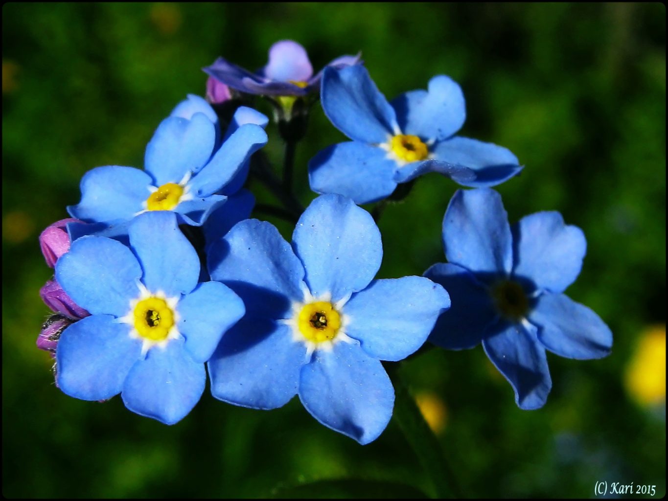 Valokuvaaja: Kari Saarinen