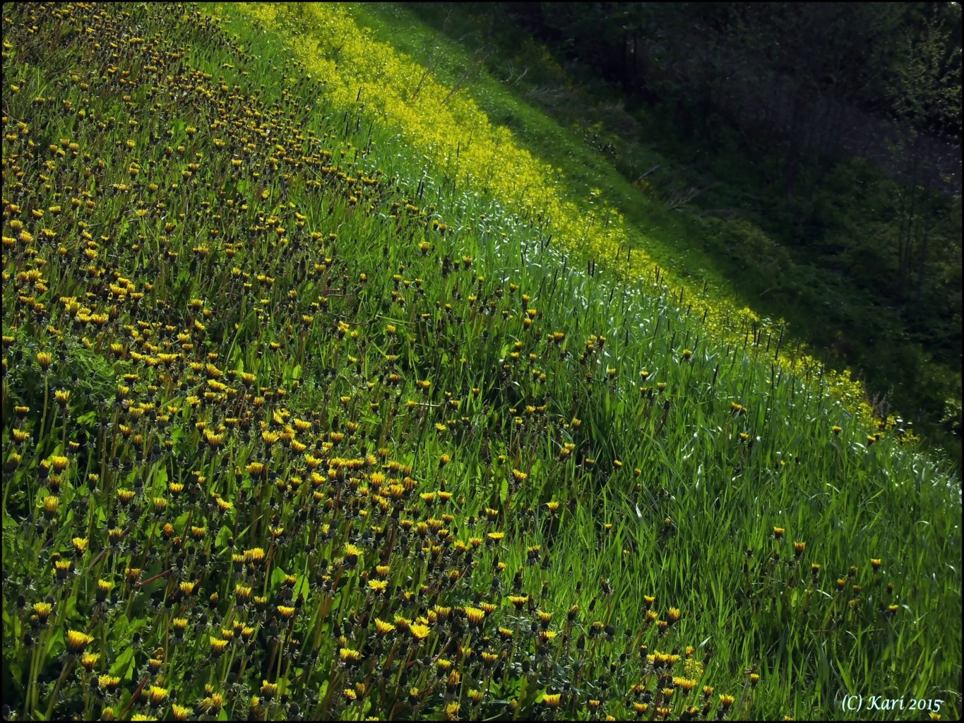 Valokuvaaja: Kari Saarinen
