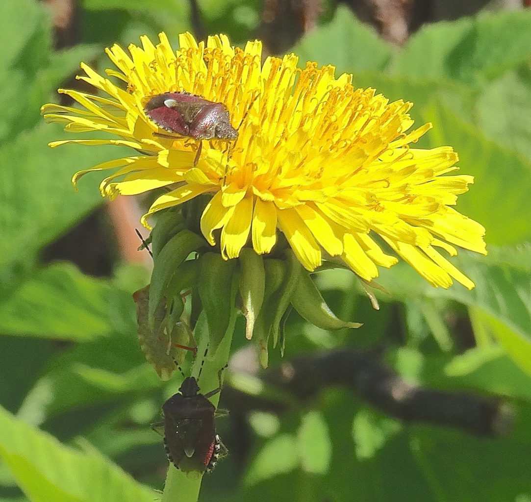 Valokuvaaja: Liisa Niiva-Korpela