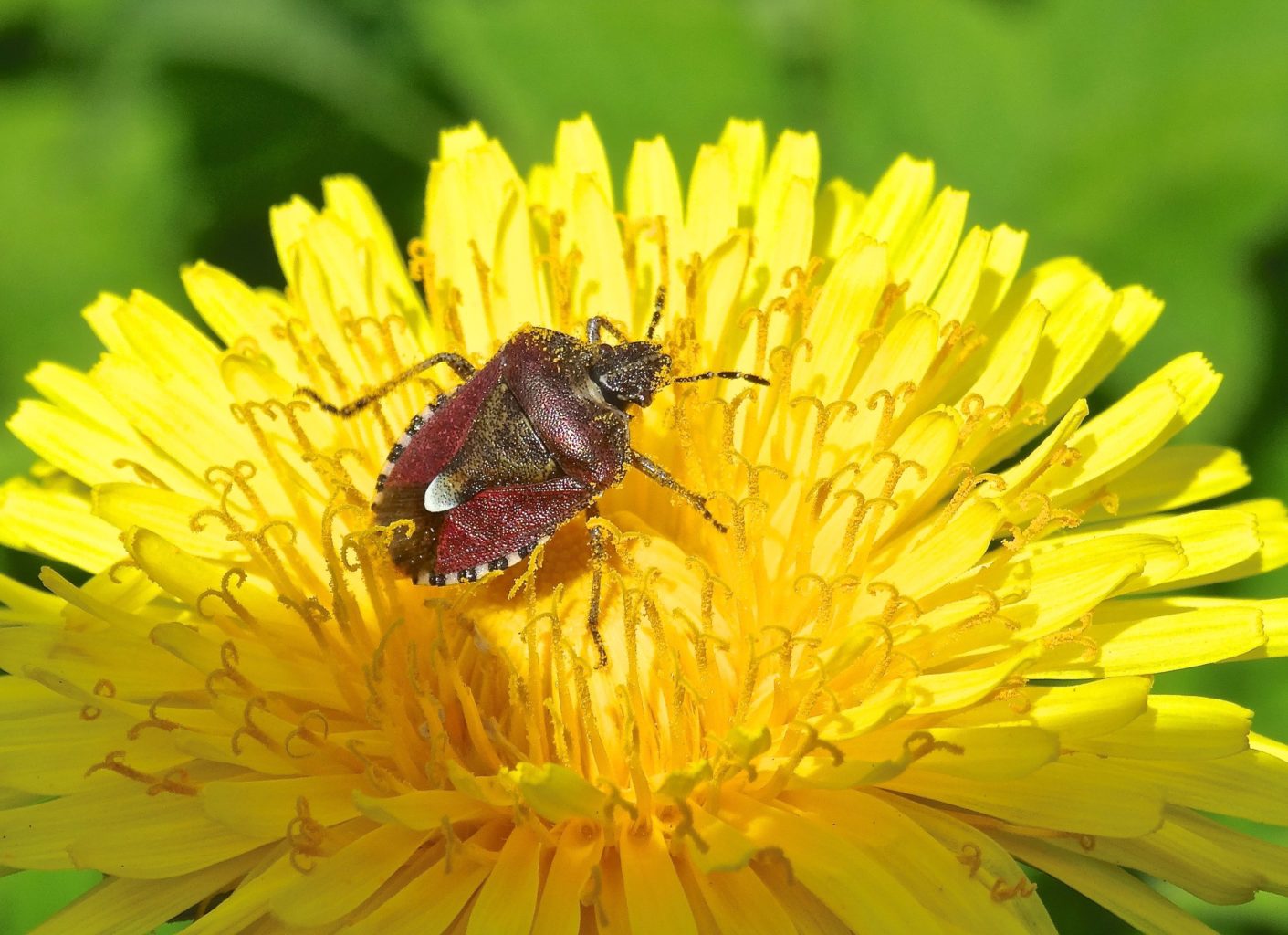 Valokuvaaja: Liisa Niiva-Korpela