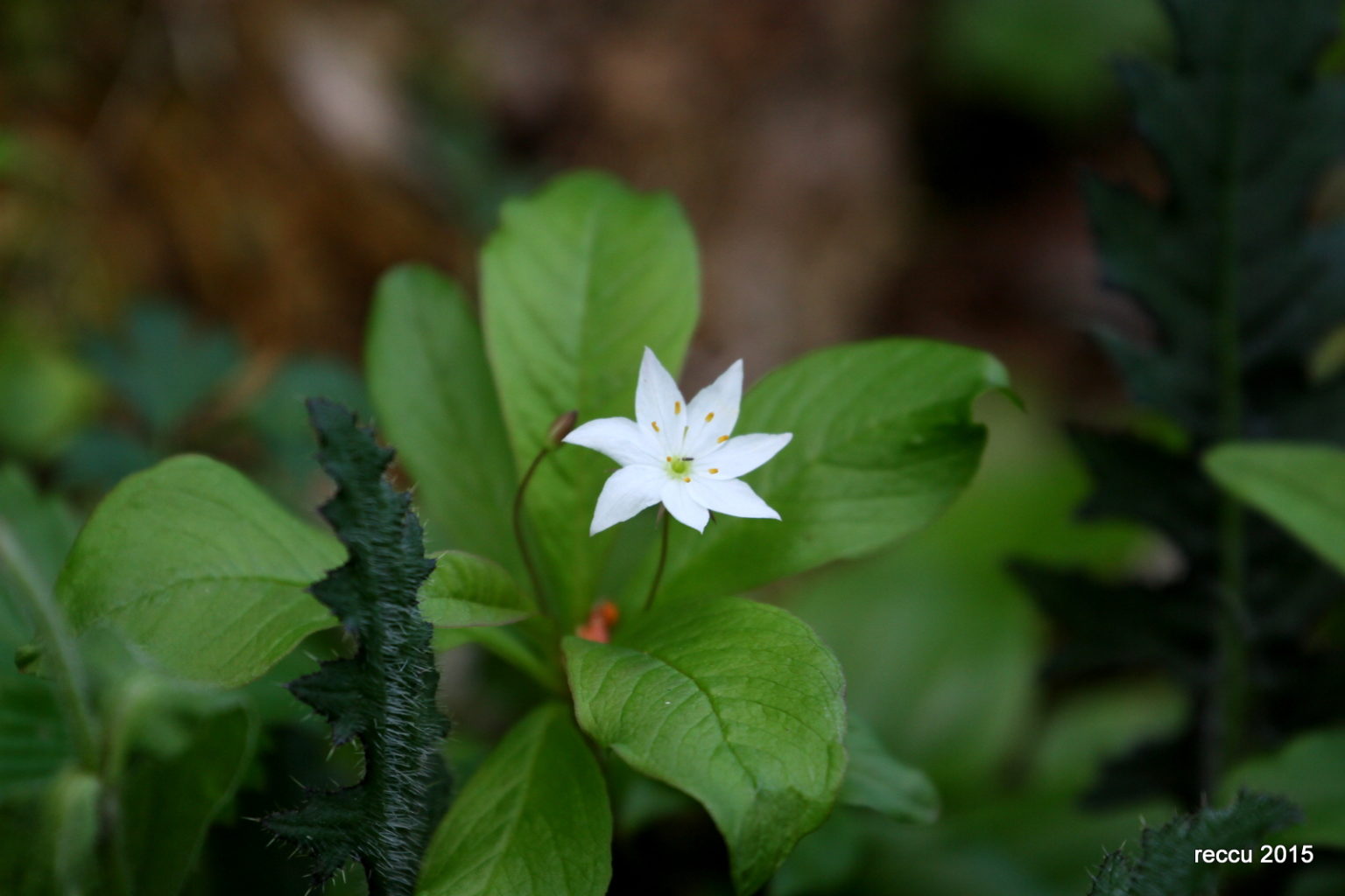 Valokuvaaja: reijo lehtonen