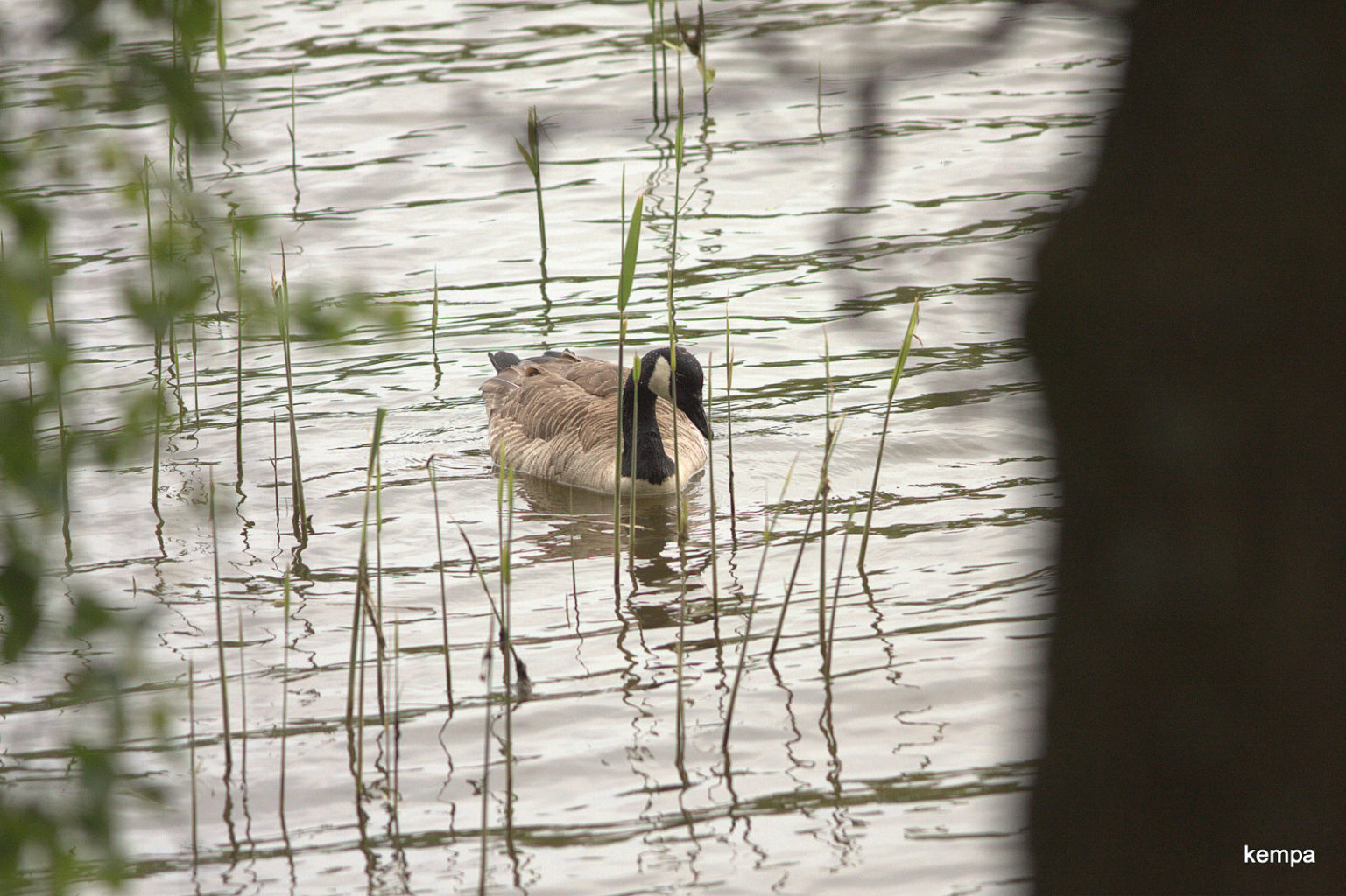 Valokuvaaja: tapio keinonen