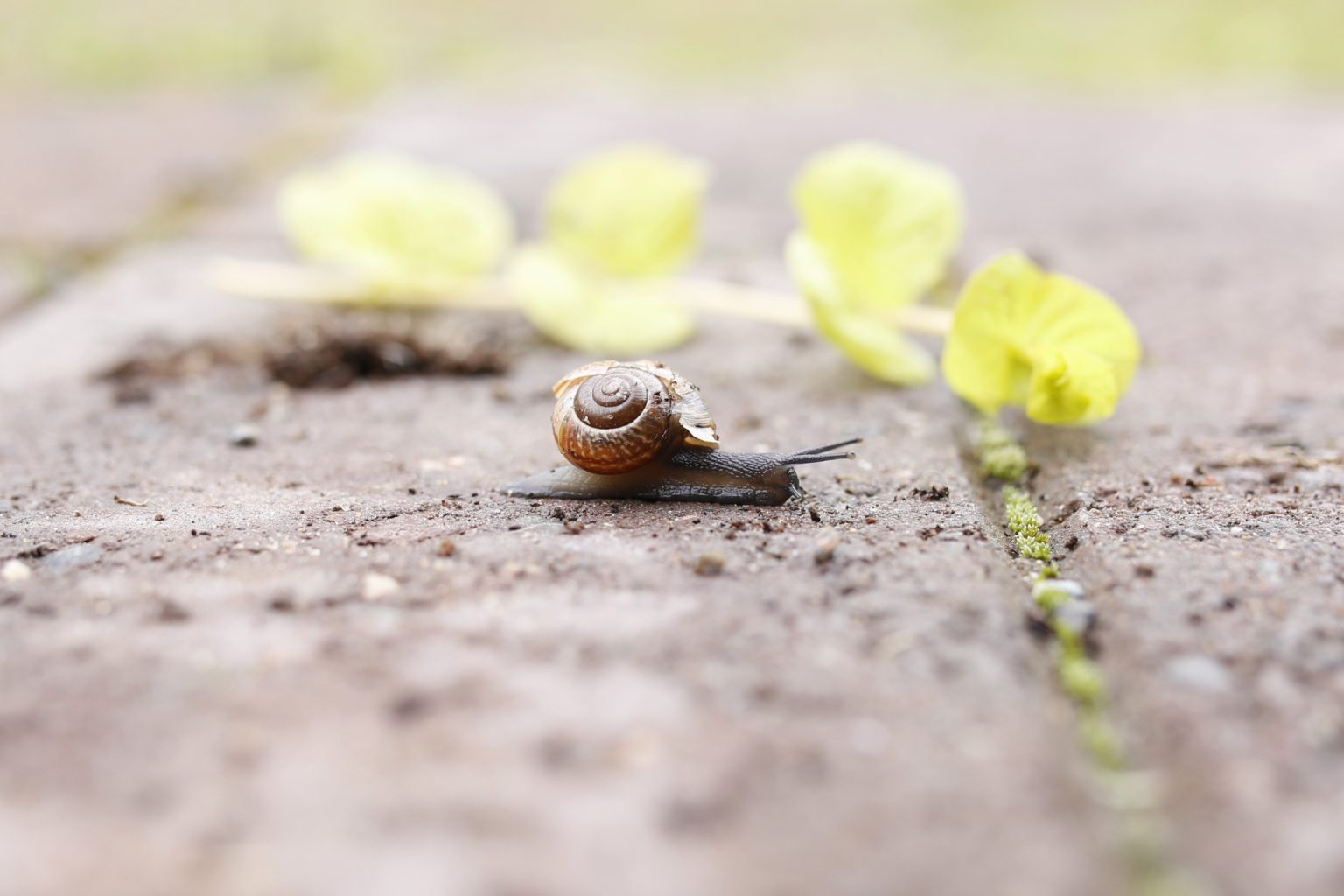 Valokuvaaja: Anne Moilanen