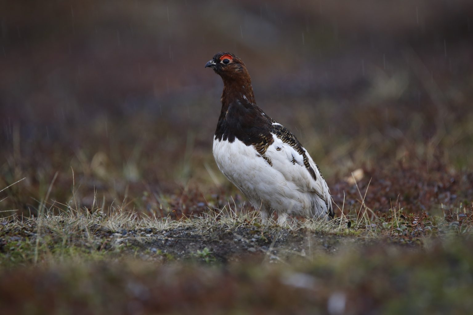 Valokuvaaja: Anne Moilanen