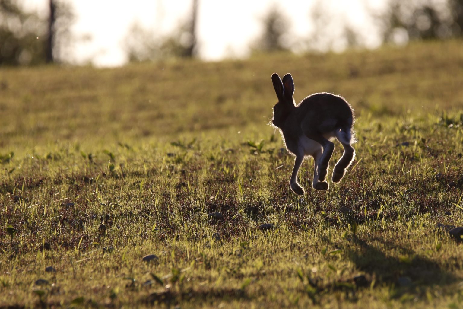 Valokuvaaja: Anne Moilanen