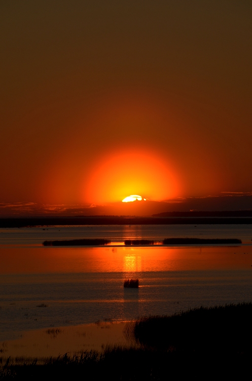Valokuvaaja: Arimo Eklund